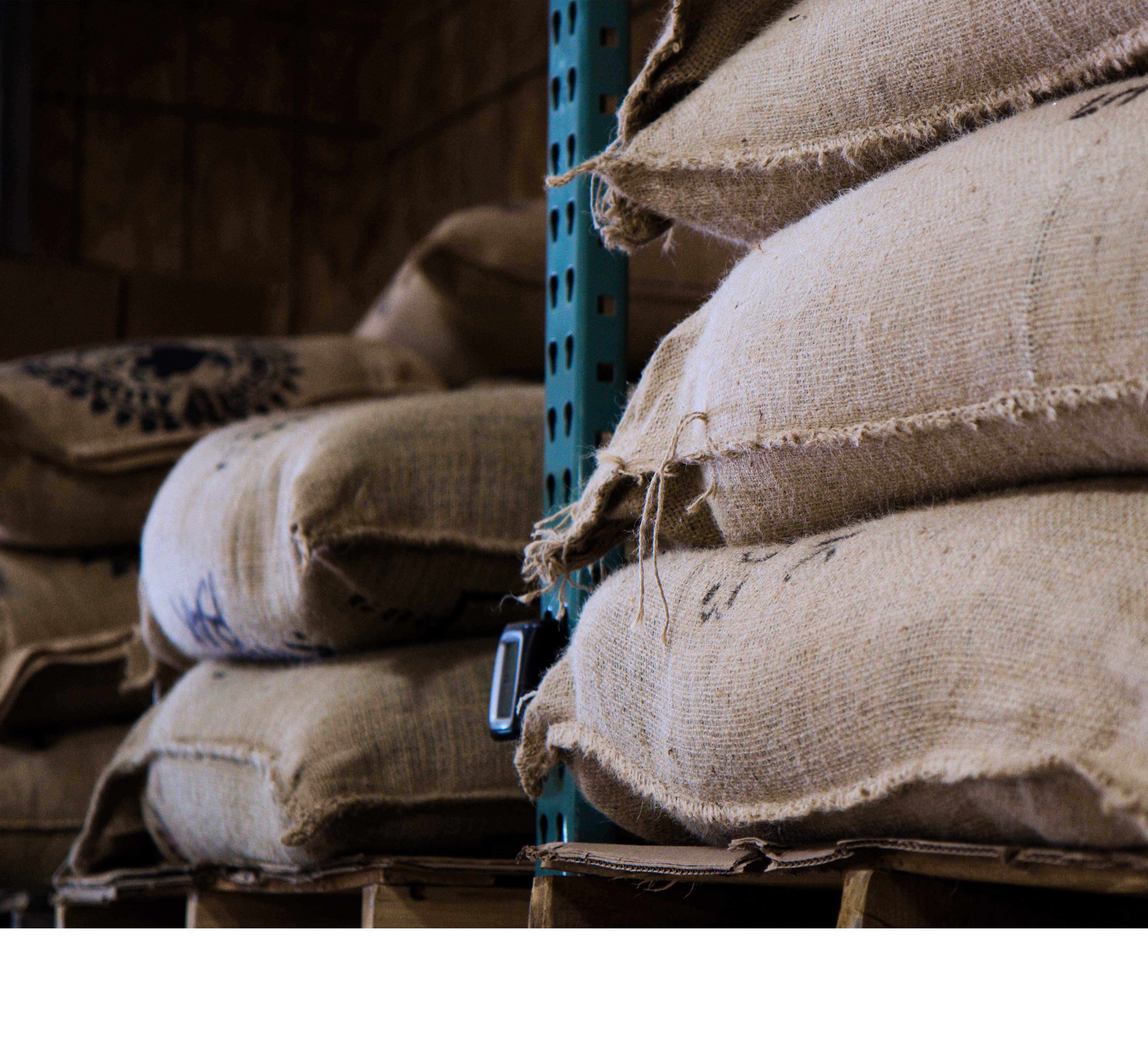 A photograph of cloth coffee sacs on industrial shelving